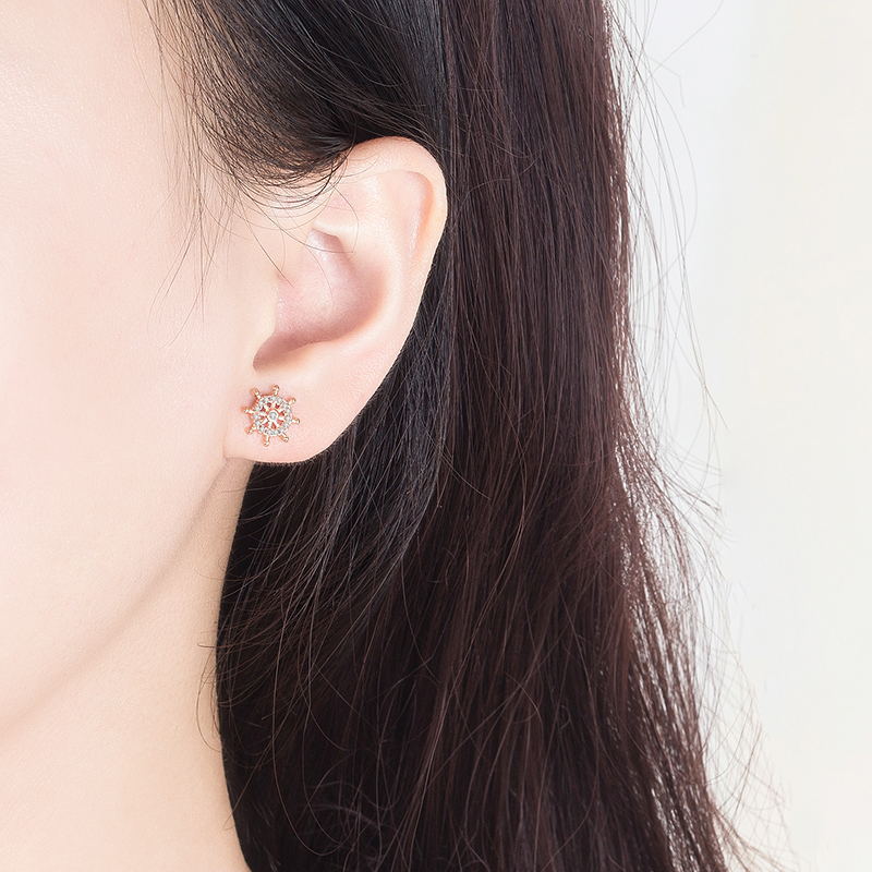 Women's Summer Ferris Wheel With Diamonds Simple Ear Earrings