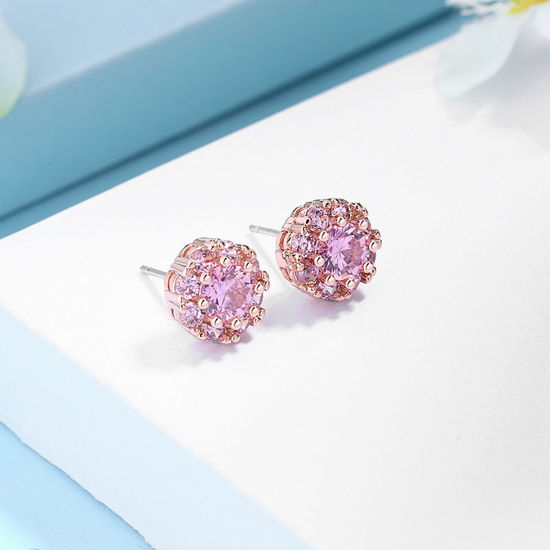 Women's Snowflake Sier Elegant Zircon Trendy Simple Earrings