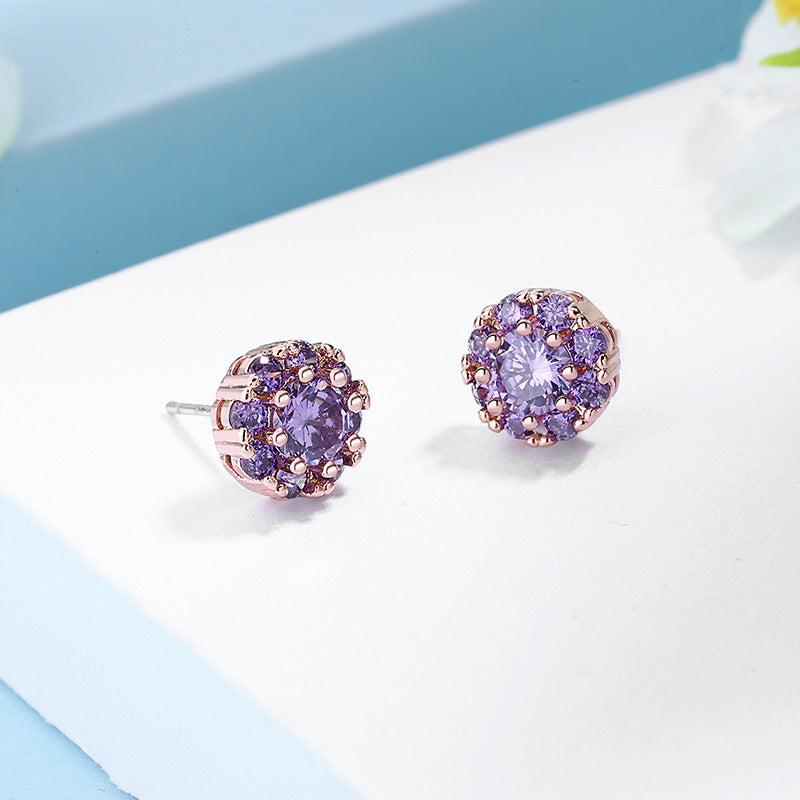 Women's Snowflake Sier Elegant Zircon Trendy Simple Earrings