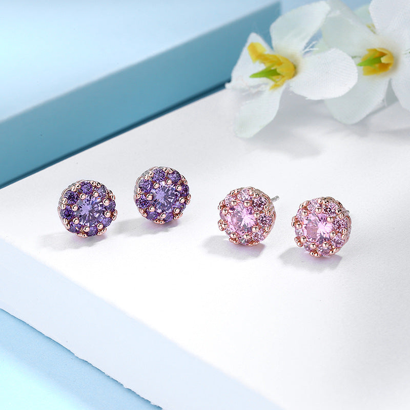 Women's Snowflake Sier Elegant Zircon Trendy Simple Earrings