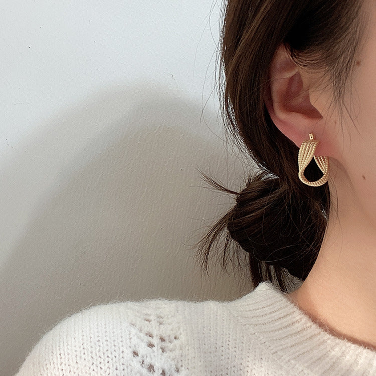 Women's Design Twisted Twist Metal Temperament Wild Earrings