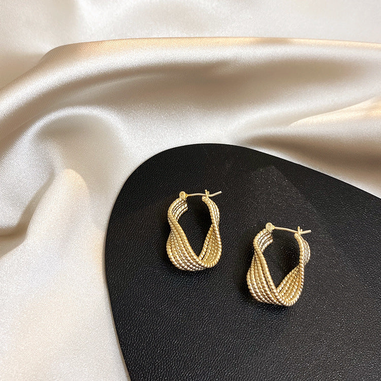 Women's Design Twisted Twist Metal Temperament Wild Earrings