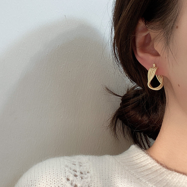 Women's Design Twisted Twist Metal Temperament Wild Earrings