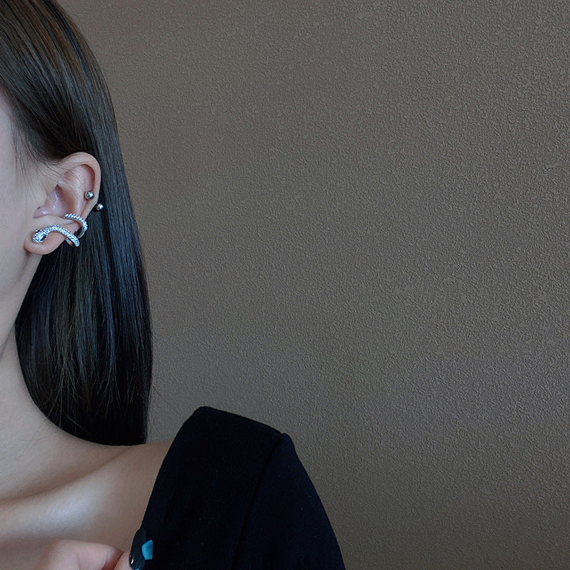 Snakelike Winding Micro Inlaid Zircon Ear Earrings