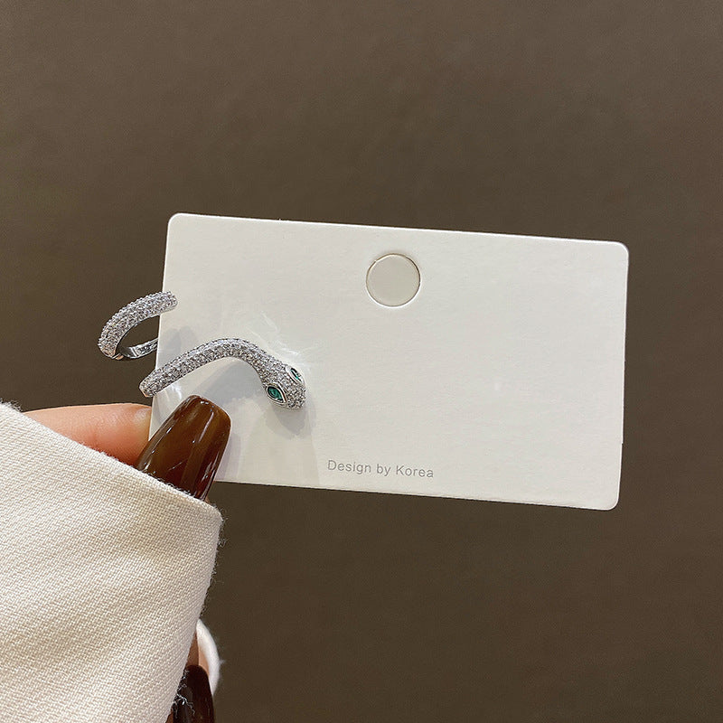 Snakelike Winding Micro Inlaid Zircon Ear Earrings