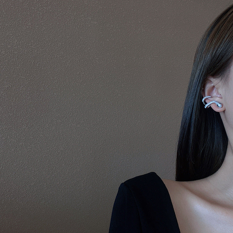 Snakelike Winding Micro Inlaid Zircon Ear Earrings