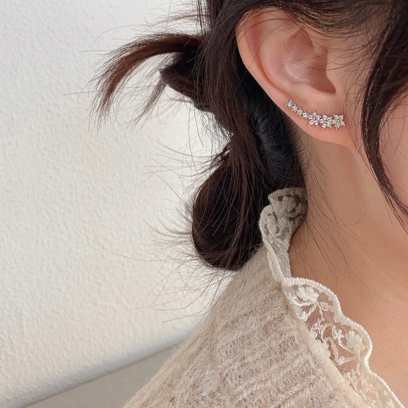 Women's Zircon For Simple And Compact Ear Earrings
