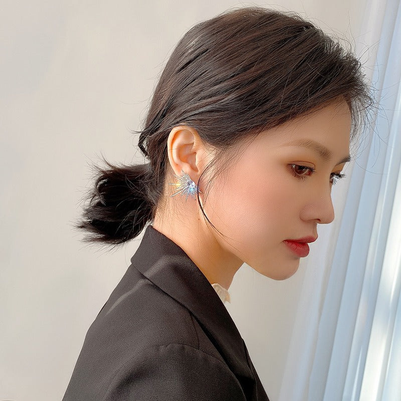 High-grade Fashionable Female Sier Needle Elegant Earrings