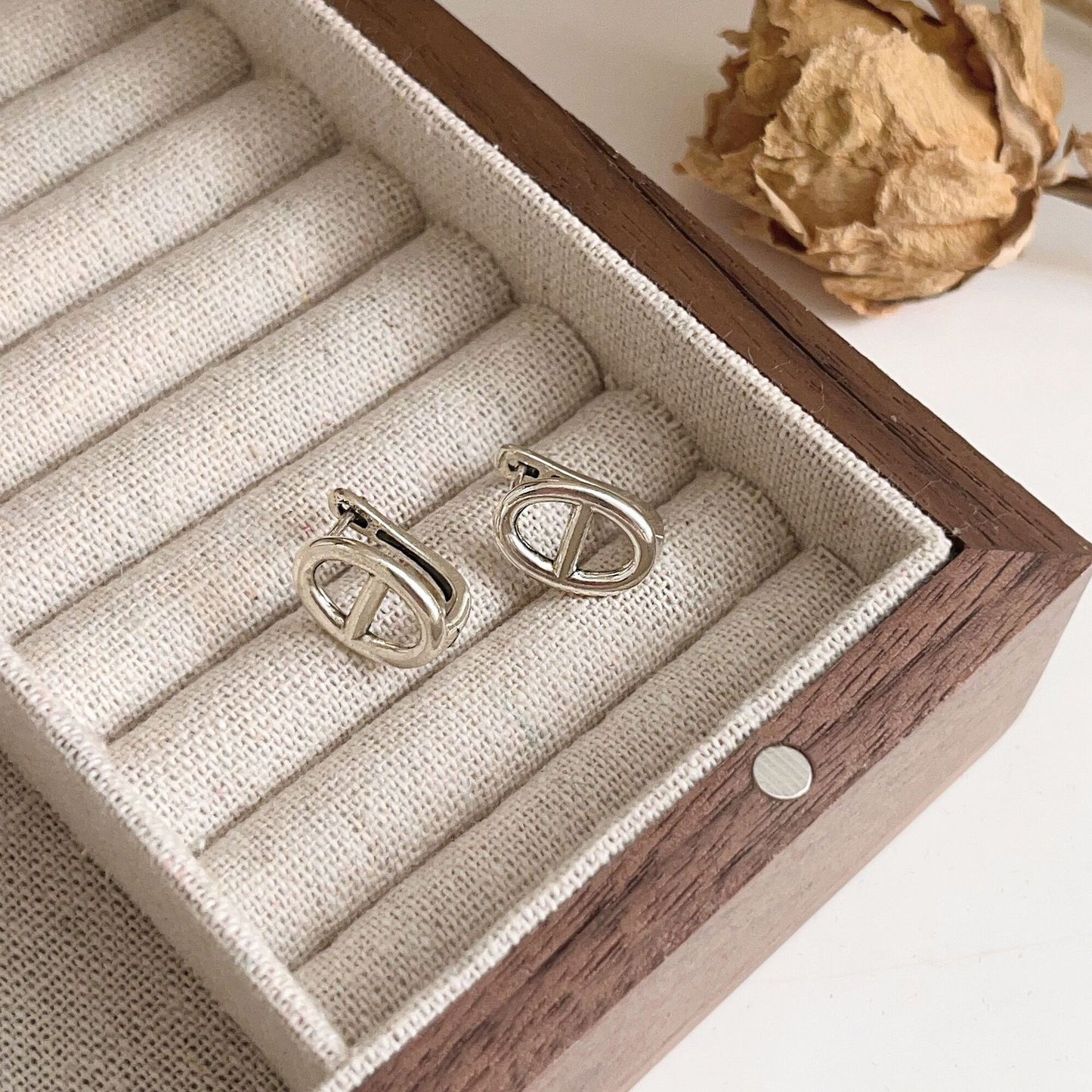 Women's Sterling Live Broadcast Fashionable High Sense Earrings