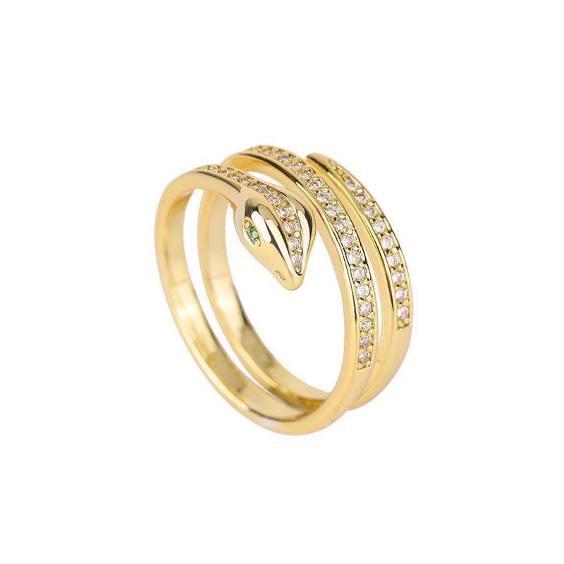 Fashionable Winding Snake Minimalist Hip Hop Niche Rings