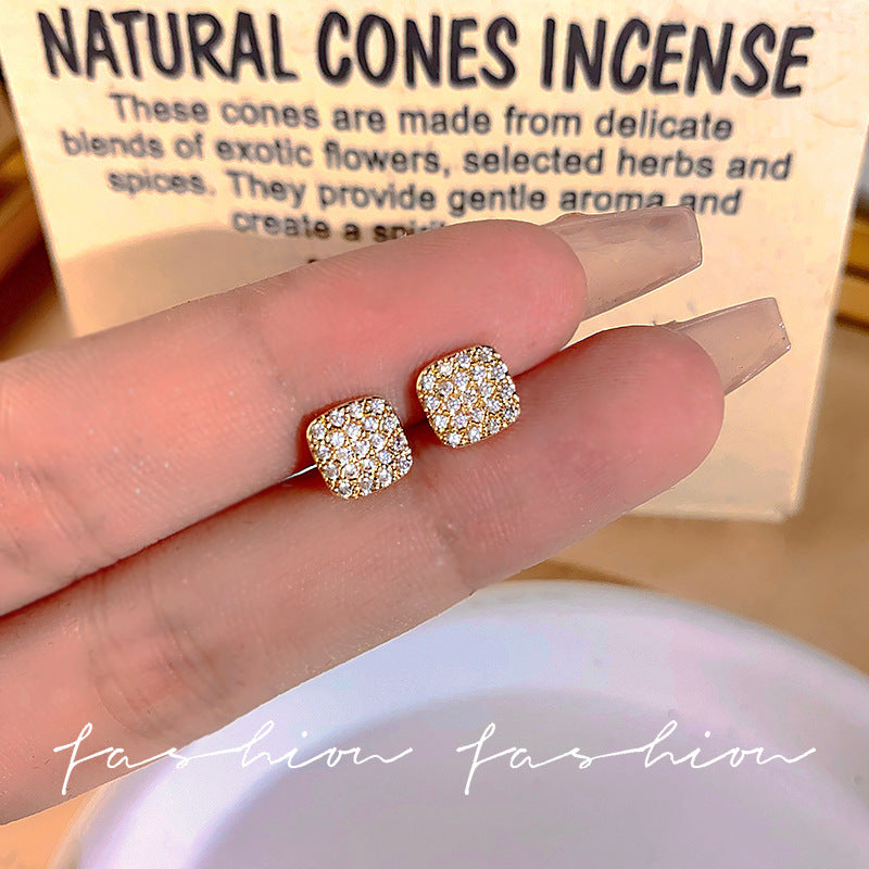 Women's Small Exquisite Before Sleep Trendy High-grade Light Earrings