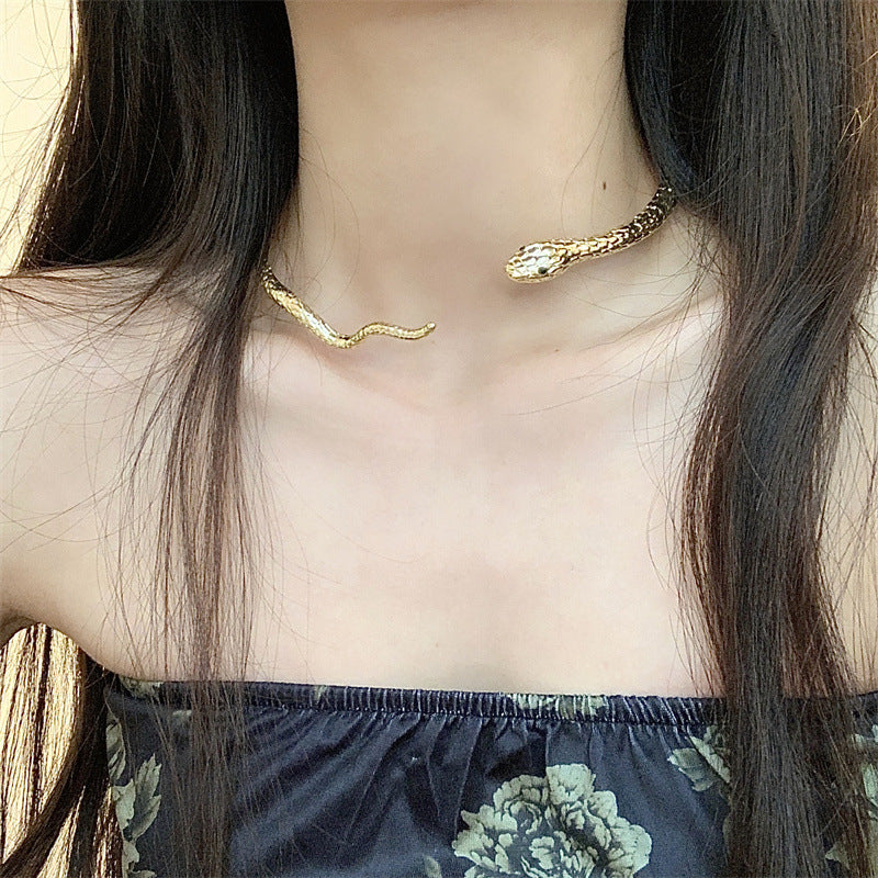 Collier femme serpent en métal, accessoires Punk chauds, colliers