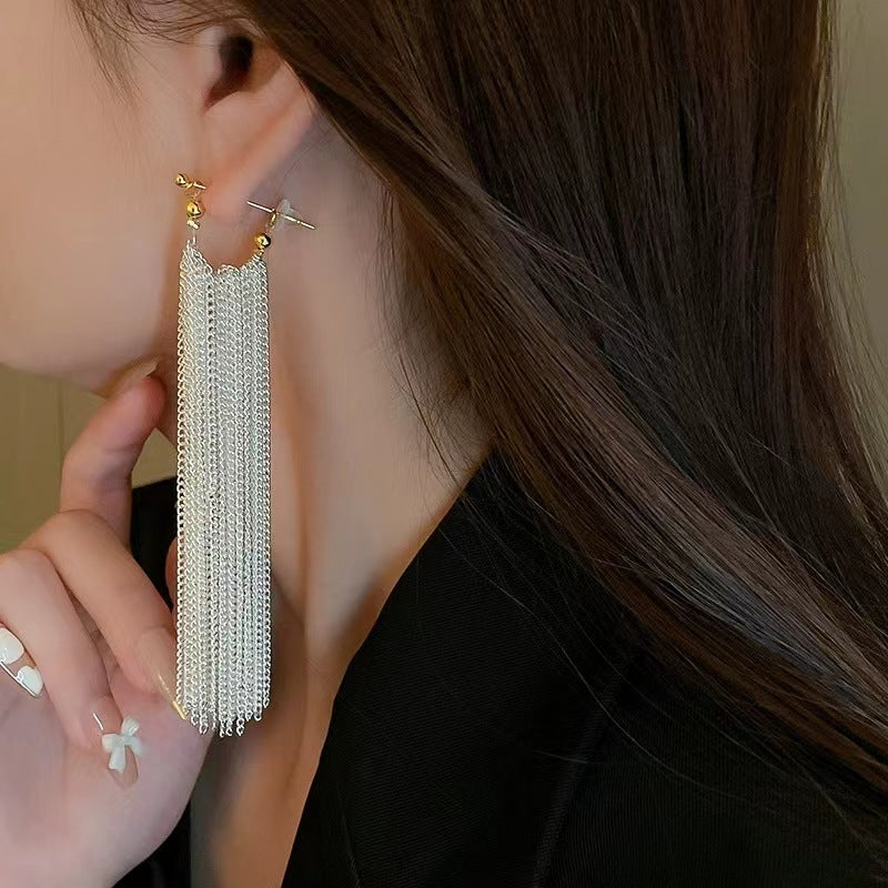 Women's Tassel Light Luxury High Sense And Earrings