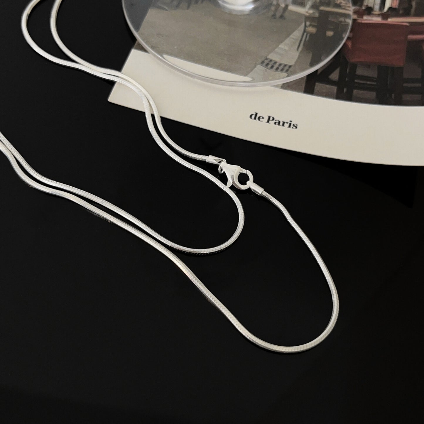 Women's Stacked Long Snake Bone Sweater Chain Necklaces