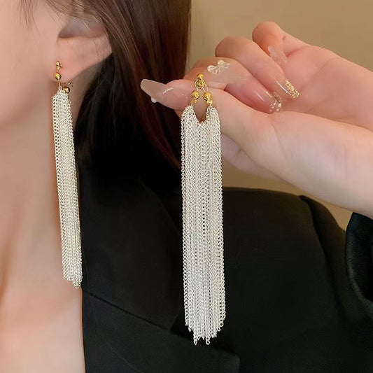 Women's Tassel Light Luxury High Sense And Earrings