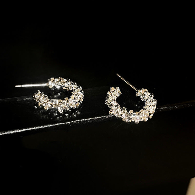 Women's Pieces Of Sier Shaped French Minority Design Advanced Earrings