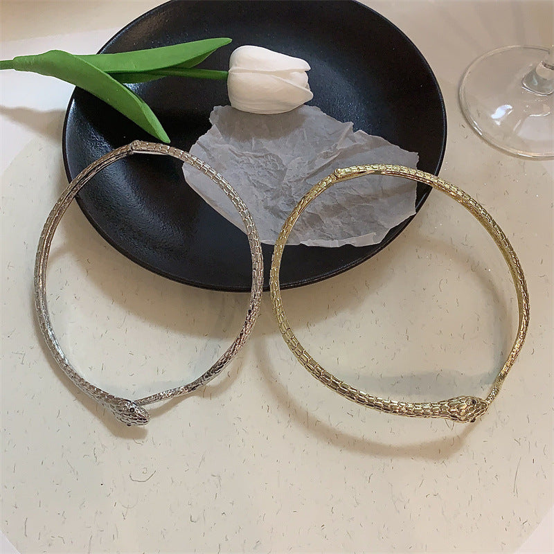 Collier femme serpent en métal, accessoires Punk chauds, colliers