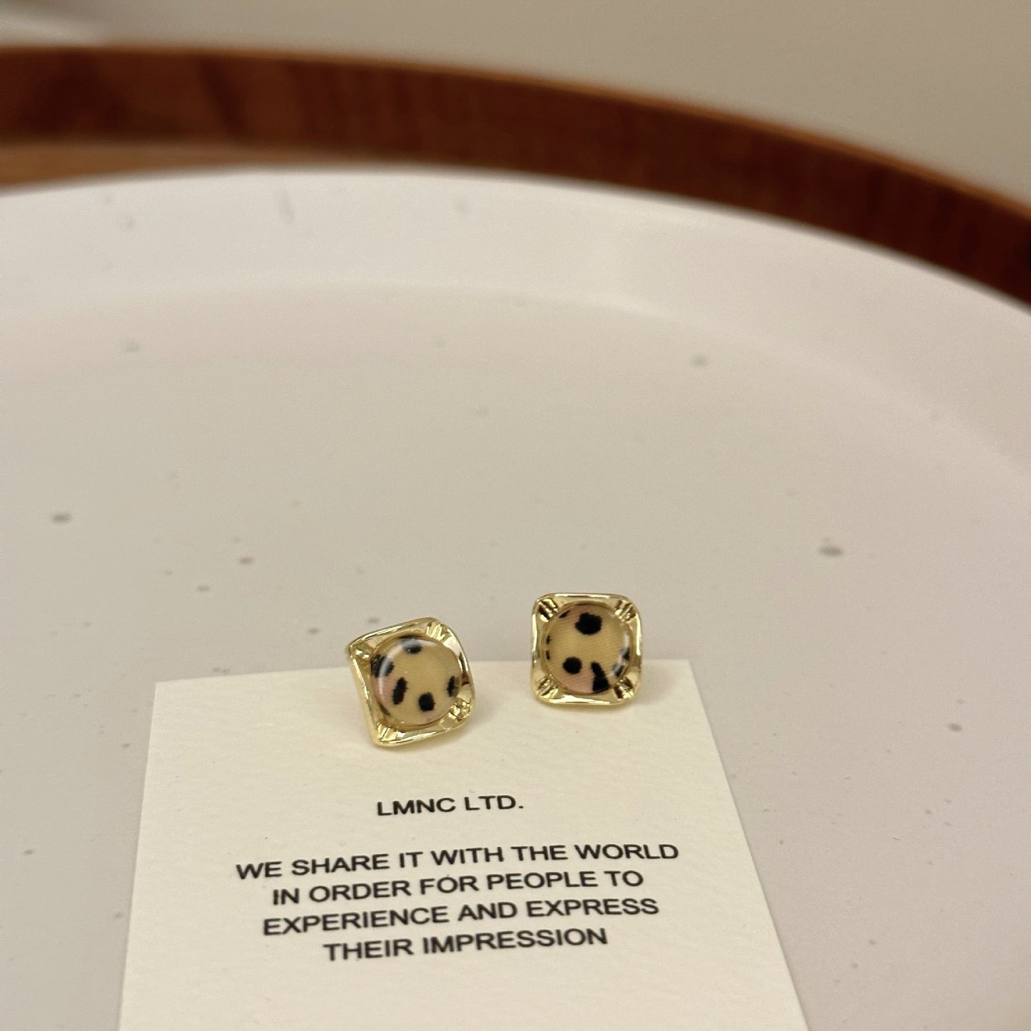 Niche Square Leopard Print Petite Female Fashion Earrings