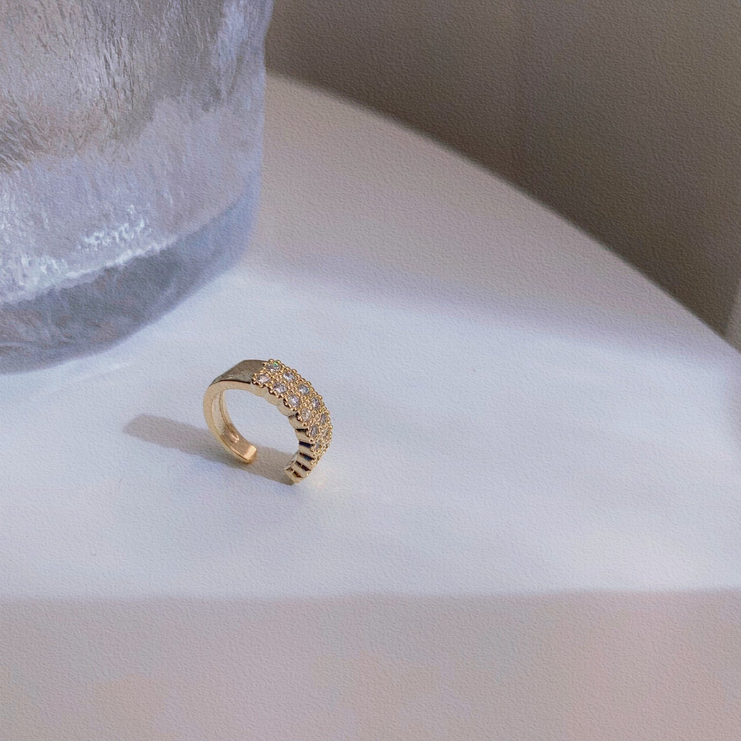 Gold And Sier Needle Zircon Animal Earrings