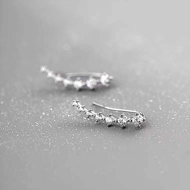 Exquisite Shiny Ear Female Affordable Luxury Earrings