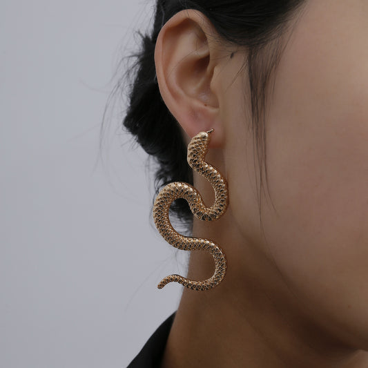 Personality Twisted Geometric Hip Hop Female Exaggerated Snake-shaped Earrings