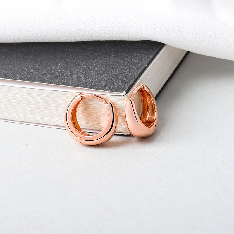 Women's Vintage For Trendy Temperamental Fashionmonger Elegant Frosty Stud Earrings