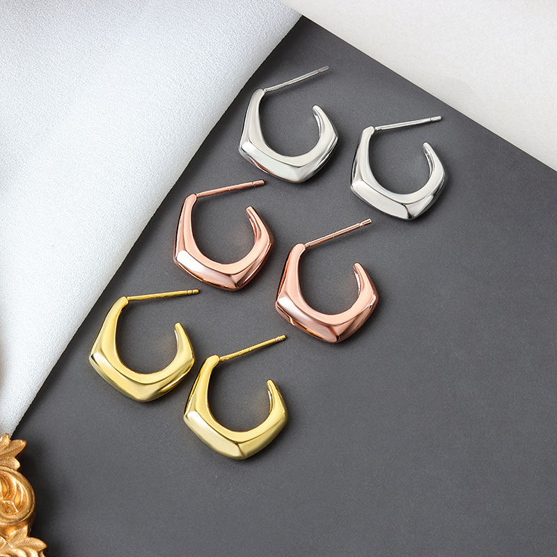 Women's Exaggerated Geometric Design Sense Cold Simple Earrings