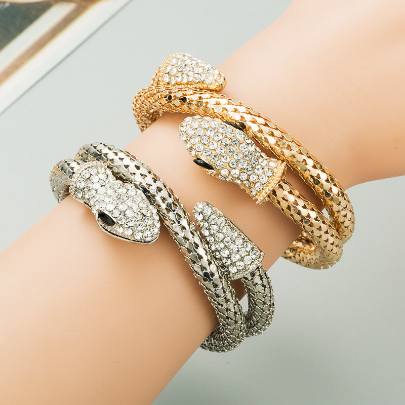 Women's & Men's Exaggerated Personalized Punk Snakelike Winding Alloy Bracelet