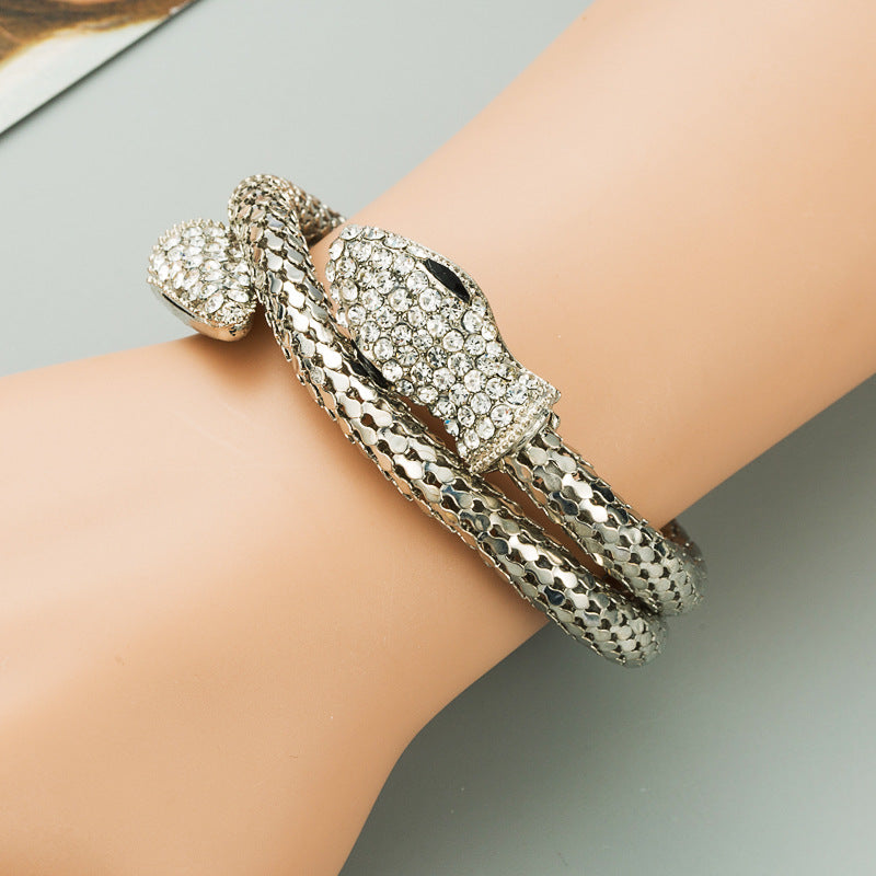Women's & Men's Exaggerated Personalized Punk Snakelike Winding Alloy Bracelet