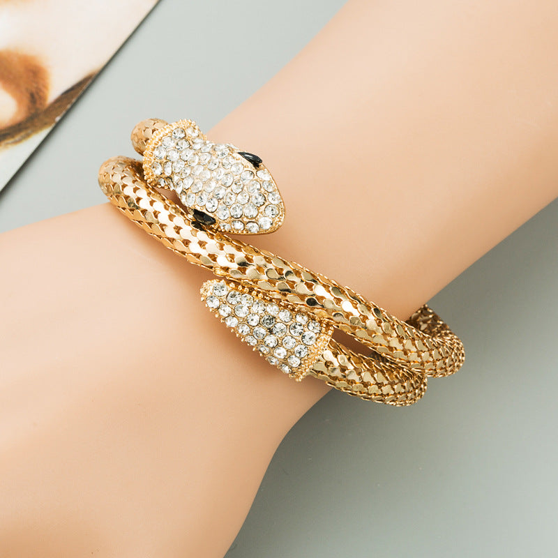 Women's & Men's Exaggerated Personalized Punk Snakelike Winding Alloy Bracelet