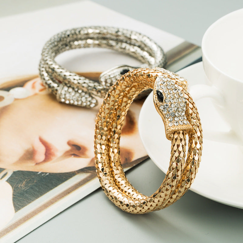 Women's & Men's Exaggerated Personalized Punk Snakelike Winding Alloy Bracelet