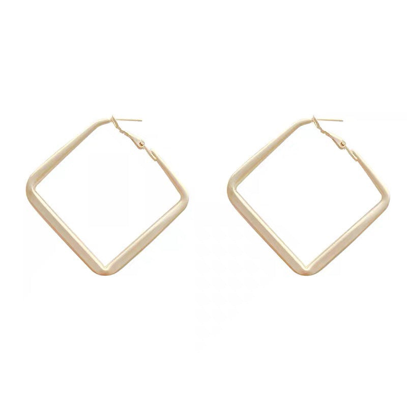 Geometric Female Personality Elegant Niche Sterling Earrings