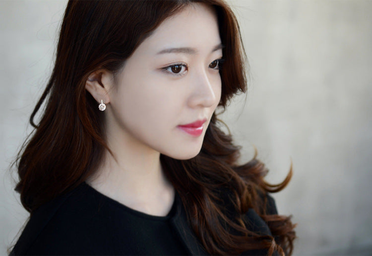 Women's Sterling Sier Zircon Korean Fashion Eardrops Stud Earrings