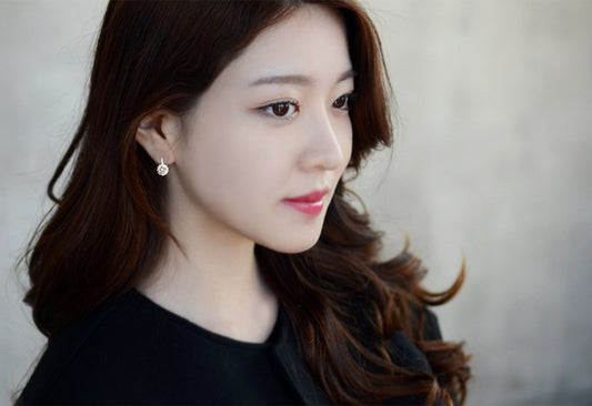 Women's Sterling Sier Zircon Korean Fashion Eardrops Stud Earrings