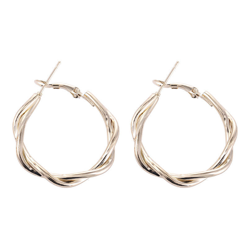 Women's Simple Graceful Twist Niche Bag Personalized Wild Earrings