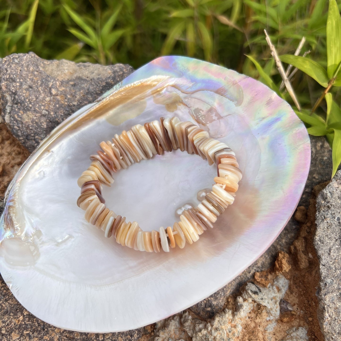 Conch Design Twin Fritillary Crafts National Bracelets