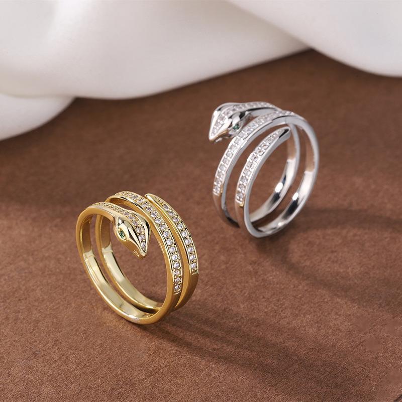 Fashionable Winding Snake Minimalist Hip Hop Niche Rings