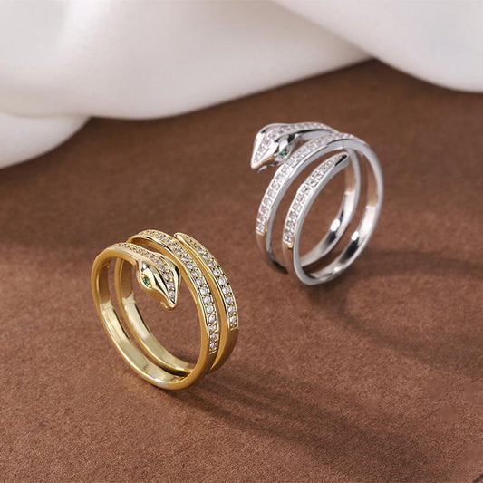 Fashionable Winding Snake Minimalist Hip Hop Niche Rings