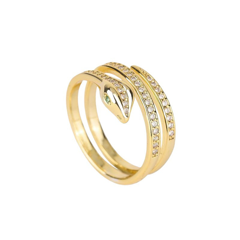 Fashionable Winding Snake Minimalist Hip Hop Niche Rings