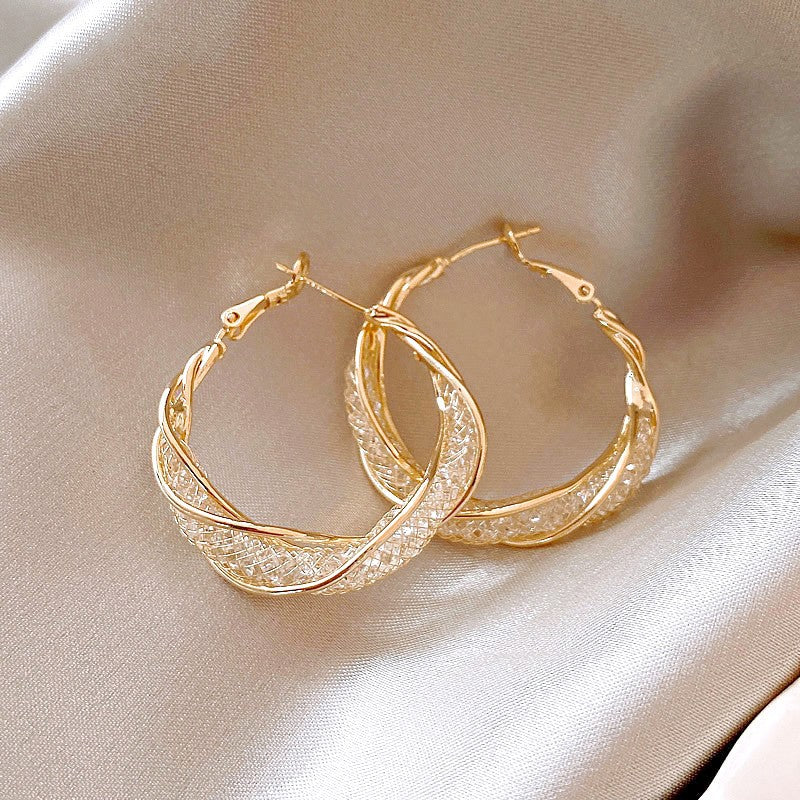 Women's Simple Hollow Mesh Twisted For Design Earrings