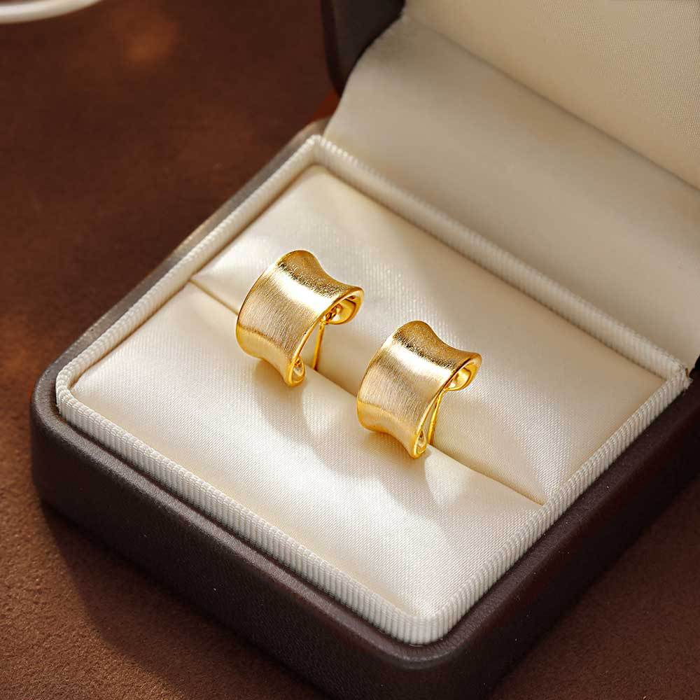 Design Shaped Metal Brushed High-grade Frosty Earrings