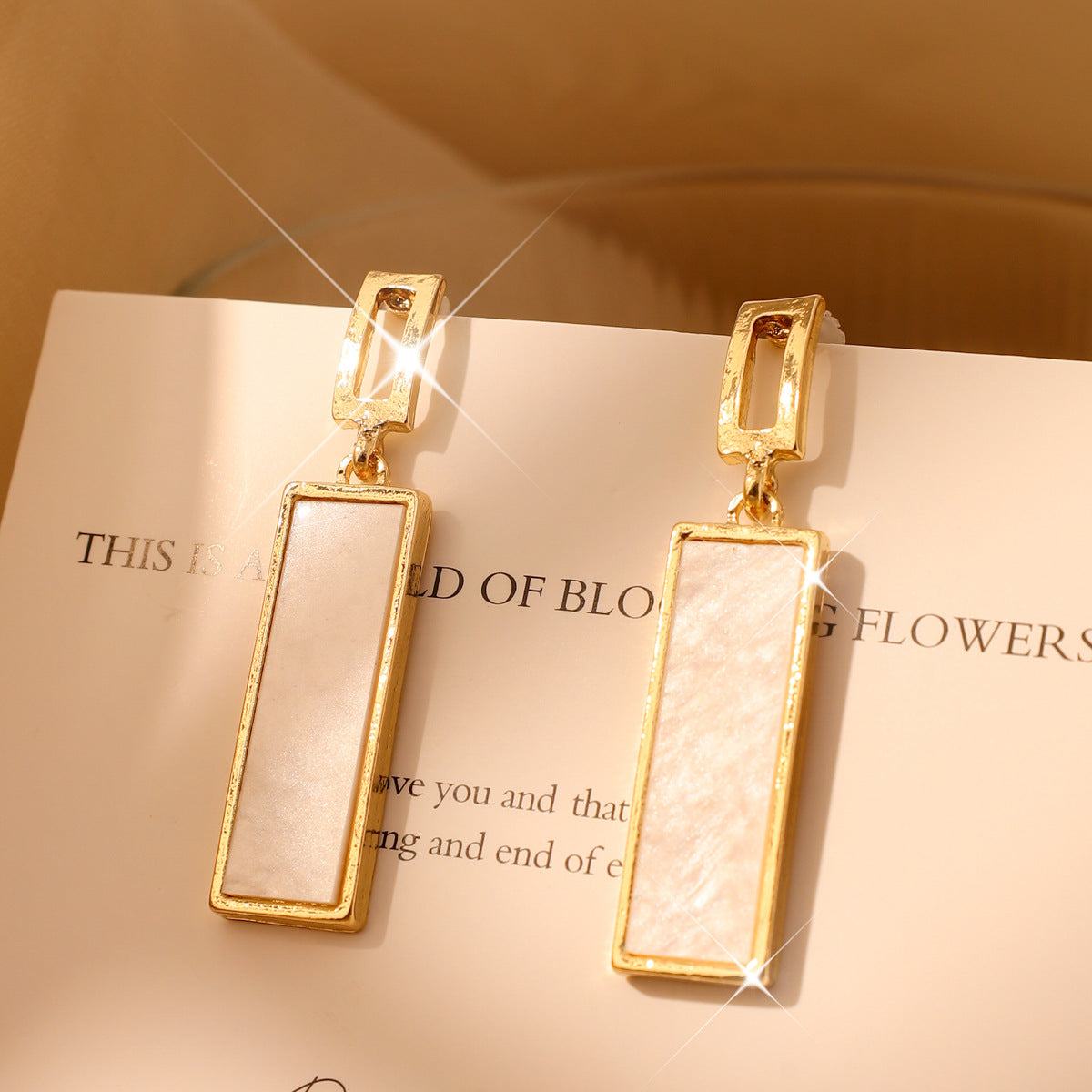 Style Minimalist Square High-grade Long Rectangular With Earrings