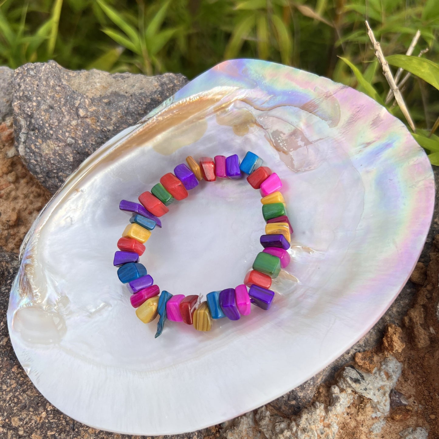 Conch Design Twin Fritillary Crafts National Bracelets